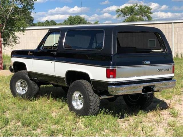 1975 Chevrolet Blazer (CC-1807313) for sale in Cadillac, Michigan