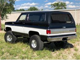 1975 Chevrolet Blazer (CC-1807313) for sale in Cadillac, Michigan
