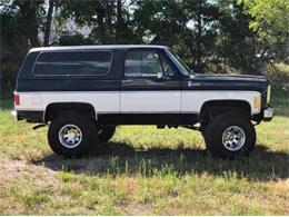 1975 Chevrolet Blazer (CC-1807313) for sale in Cadillac, Michigan