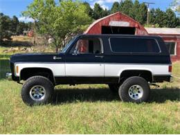 1975 Chevrolet Blazer (CC-1807313) for sale in Cadillac, Michigan