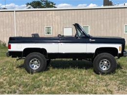1975 Chevrolet Blazer (CC-1807313) for sale in Cadillac, Michigan