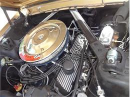 1965 Ford Mustang (CC-1807494) for sale in Punta Gorda, Florida
