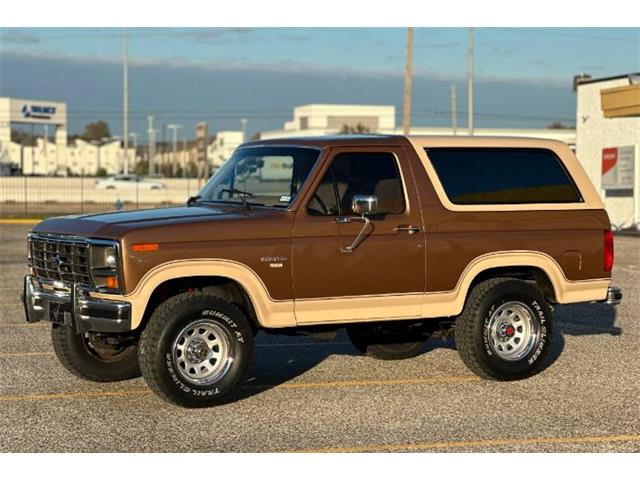 1985 Ford Bronco (CC-1808640) for sale in Cadillac, Michigan