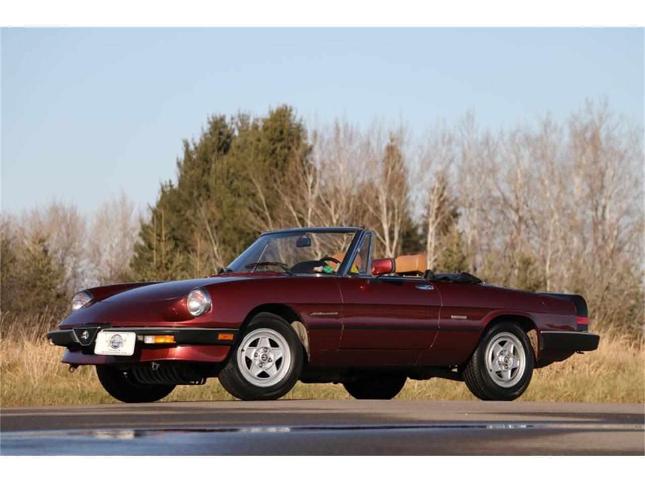 Alfa Romeo Spider Veloce For Sale Classiccars Com Cc