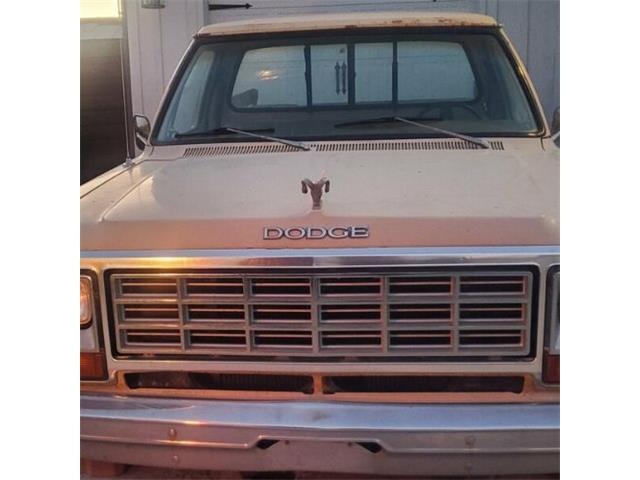 1981 Dodge Ram (CC-1800904) for sale in Cadillac, Michigan