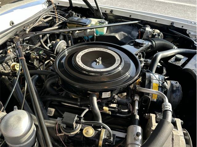 1984 Cadillac Eldorado (CC-1809339) for sale in West Babylon, New York