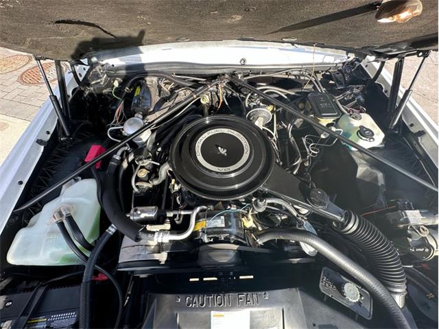 1984 Cadillac Eldorado (CC-1809339) for sale in West Babylon, New York