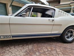 1965 Ford Mustang Shelby GT350 (CC-1809461) for sale in La Jolla, California