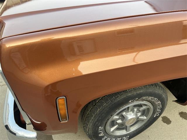 1980 Chevrolet C10 (CC-1809681) for sale in Brookings, South Dakota