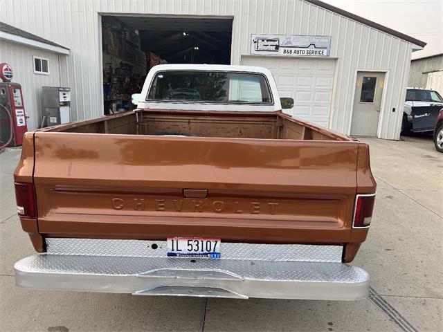 1980 Chevrolet C10 (CC-1809681) for sale in Brookings, South Dakota
