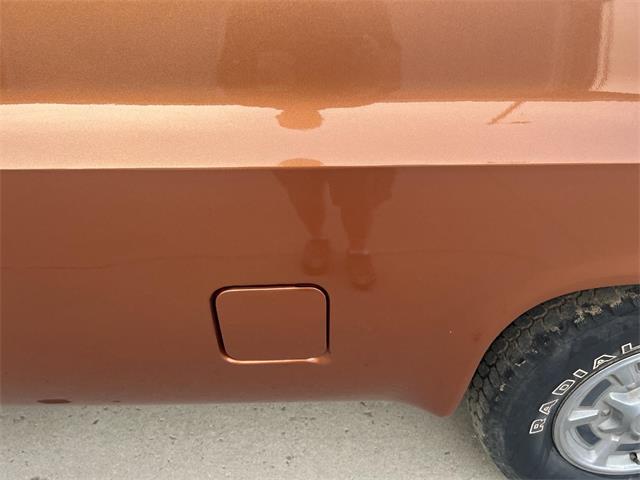 1980 Chevrolet C10 (CC-1809681) for sale in Brookings, South Dakota