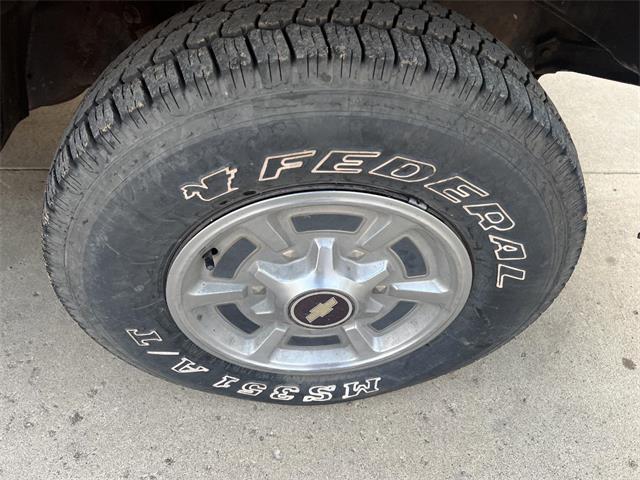 1980 Chevrolet C10 (CC-1809681) for sale in Brookings, South Dakota