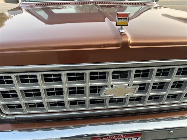 1980 Chevrolet C10 (CC-1809681) for sale in Brookings, South Dakota