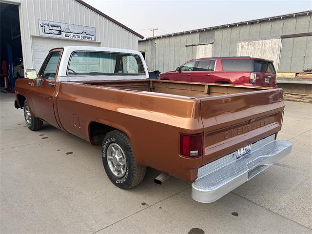 1980 Chevrolet C10 (CC-1809681) for sale in Brookings, South Dakota