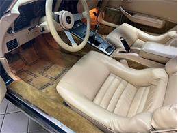 1979 Chevrolet Corvette (CC-1809910) for sale in Greensboro, North Carolina