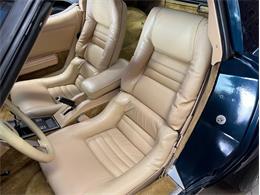 1979 Chevrolet Corvette (CC-1809910) for sale in Greensboro, North Carolina
