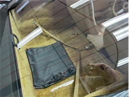 1979 Chevrolet Corvette (CC-1809910) for sale in Greensboro, North Carolina