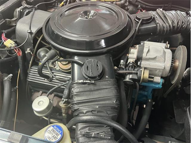 1979 Chevrolet Corvette (CC-1809910) for sale in Greensboro, North Carolina