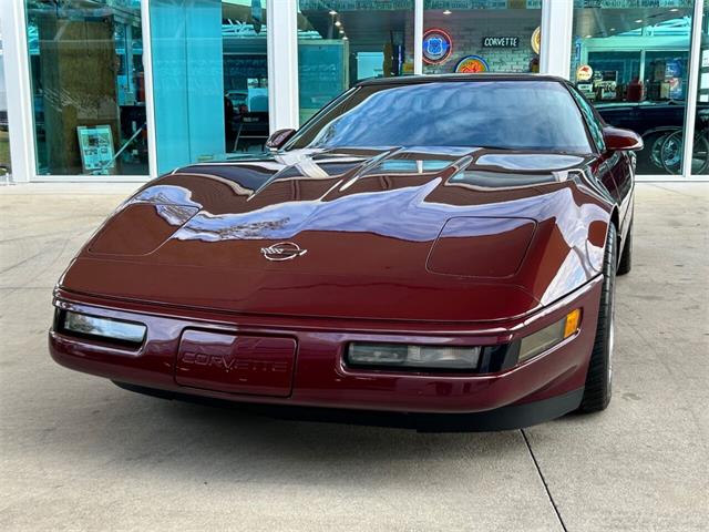 1993 Chevrolet Corvette (CC-1811049) for sale in Palmetto, Florida