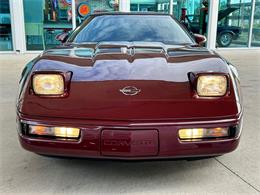 1993 Chevrolet Corvette (CC-1811049) for sale in Palmetto, Florida