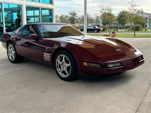 1993 Chevrolet Corvette (CC-1811049) for sale in Palmetto, Florida