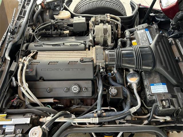 1993 Chevrolet Corvette (CC-1811049) for sale in Palmetto, Florida