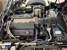 1993 Chevrolet Corvette (CC-1811049) for sale in Palmetto, Florida