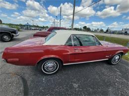 1966 Ford Mustang (CC-1811083) for sale in Miami, Florida