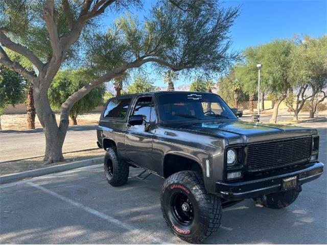 1979 Chevrolet Blazer (CC-1810015) for sale in Cadillac, Michigan