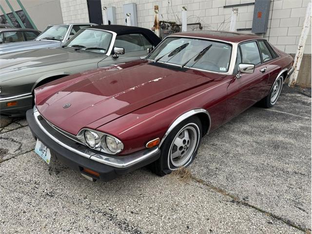 1985 Jaguar XJS (CC-1811575) for sale in St Louis, Missouri