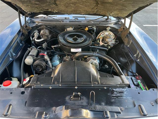 1969 Pontiac LeMans (CC-1811776) for sale in Savannah, Georgia