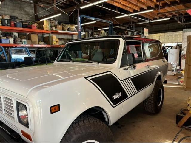 1980 International Scout II (CC-1810023) for sale in Cadillac, Michigan