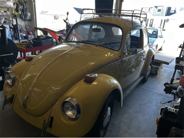 1972 Volkswagen Beetle (CC-1813765) for sale in Cadillac, Michigan