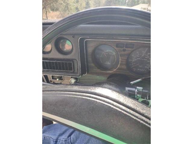 1976 Chevrolet El Camino (CC-1813769) for sale in Cadillac, Michigan