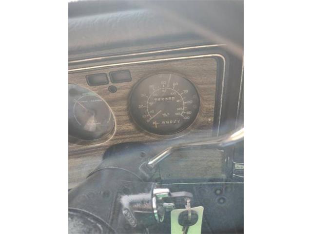 1976 Chevrolet El Camino (CC-1813769) for sale in Cadillac, Michigan