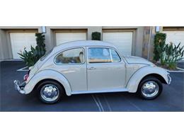 1968 Volkswagen Beetle (CC-1813770) for sale in Cadillac, Michigan