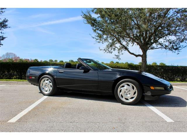 1993 Chevrolet Corvette (CC-1814618) for sale in Sarasota, Florida