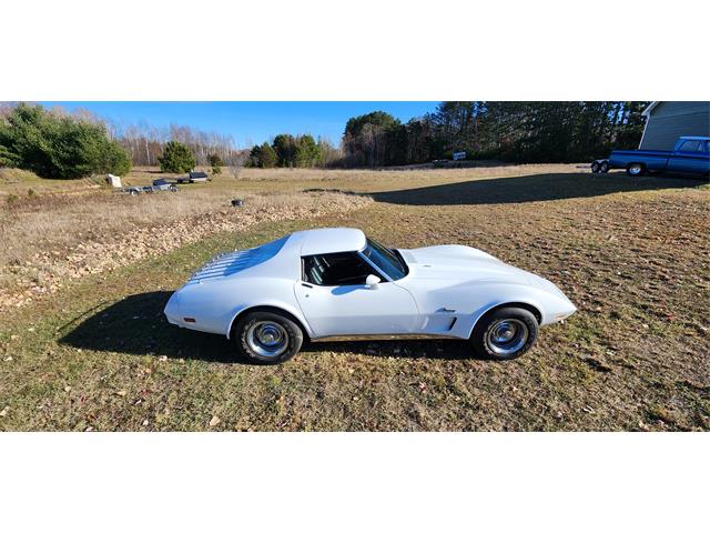 1974 Chevrolet Corvette Stingray (CC-1815151) for sale in Waconia, Minnesota