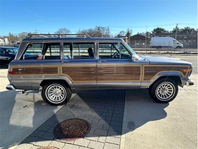 1991 Jeep Grand Wagoneer (CC-1815321) for sale in Cadillac, Michigan