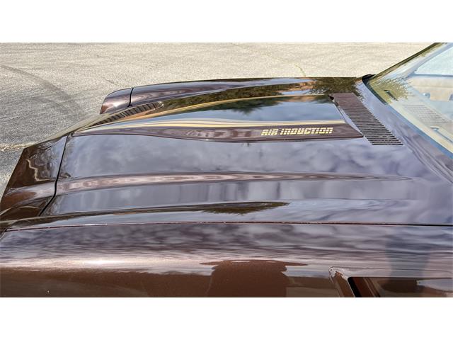 1980 Chevrolet Camaro (CC-1815559) for sale in Milford, Ohio