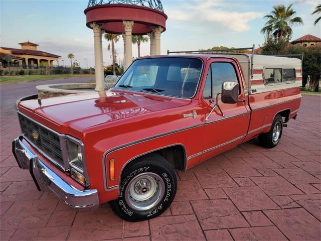 1979 Chevrolet C10 (CC-1810559) for sale in Hobart, Indiana