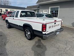 1994 Dodge Dakota (CC-1816104) for sale in Greensboro, North Carolina