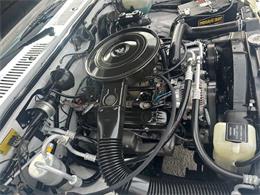 1994 Dodge Dakota (CC-1816104) for sale in Greensboro, North Carolina