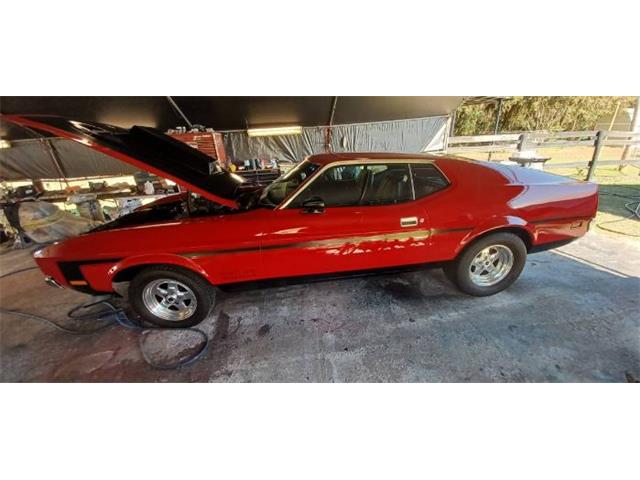 1971 Ford Mustang (CC-1817073) for sale in Cadillac, Michigan