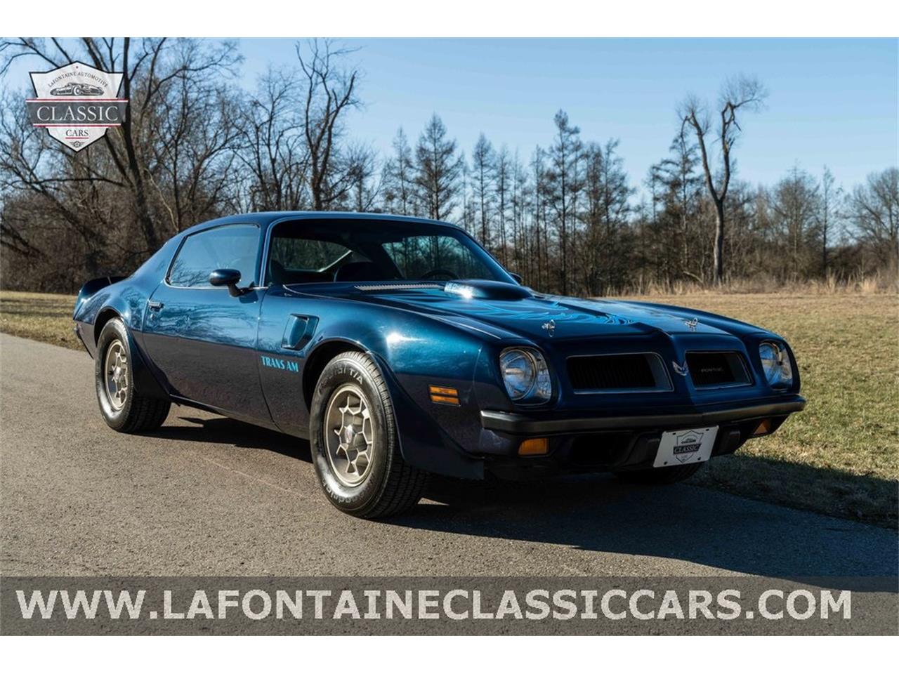 1974 Pontiac Firebird Trans Am For Sale 