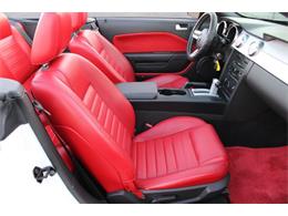 2005 Ford Mustang (CC-1817595) for sale in Phoenix, Arizona