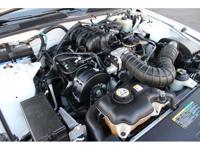 2005 Ford Mustang (CC-1817595) for sale in Phoenix, Arizona