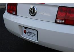 2005 Ford Mustang (CC-1817595) for sale in Phoenix, Arizona