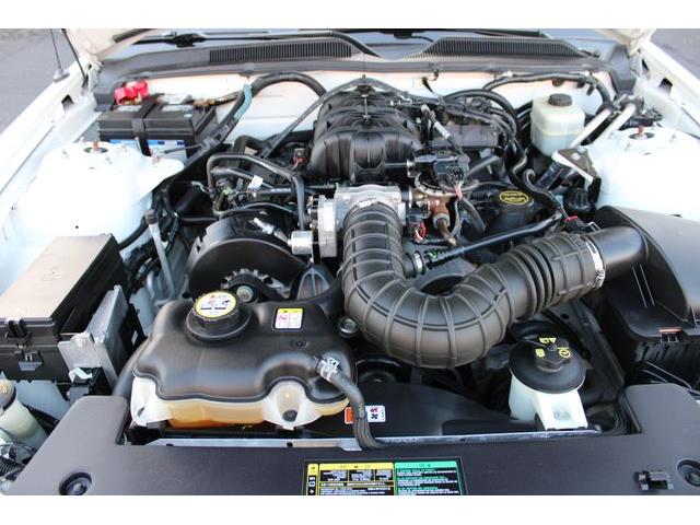 2005 Ford Mustang (CC-1817595) for sale in Phoenix, Arizona