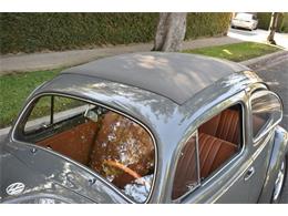 1953 Volkswagen Beetle (CC-1817690) for sale in Roanoke, Texas